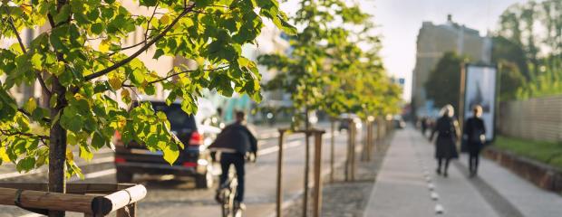 gut gestaltete, barrierefreie Infrastruktur mit ausreichend breiten Sicherheitsräumen und großzügigen Sichtfeldern